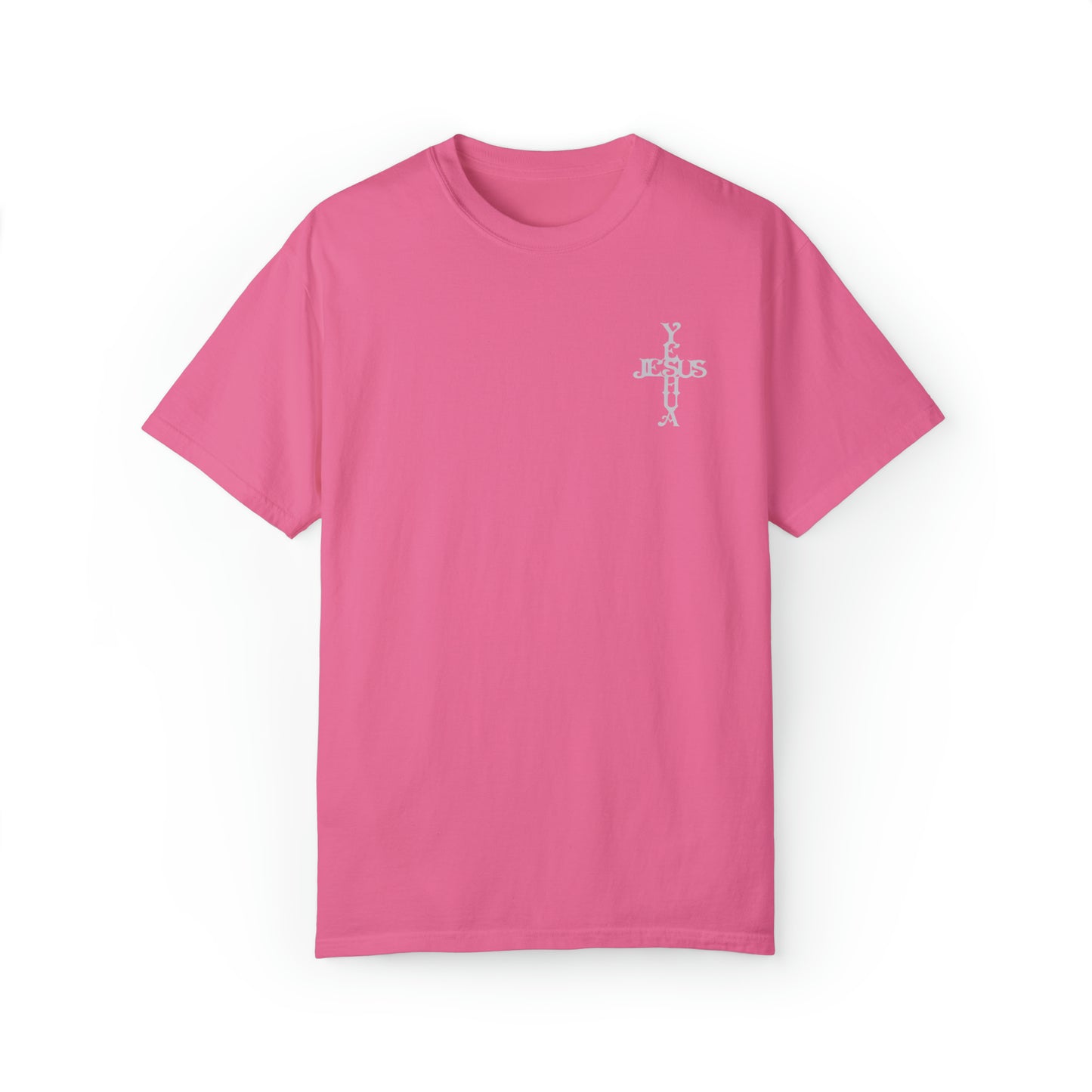Jesus And Lamb WYCD T-shirt